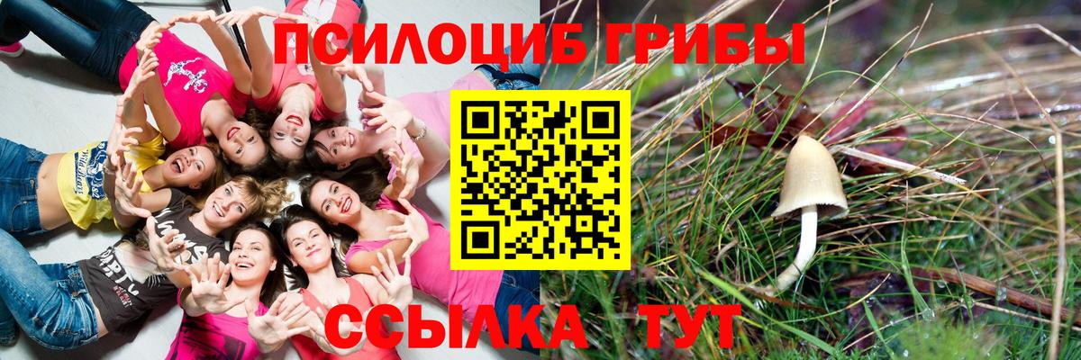 Солнечногорск  Псилоцибиновые грибы мухоморы  Вход с VPN 