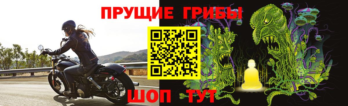 Псилоцибиновые грибы мухоморы Солнечногорск